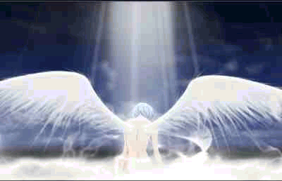 Cosmic Ordering Cosmic Ordering